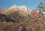 xustup-1.jpg